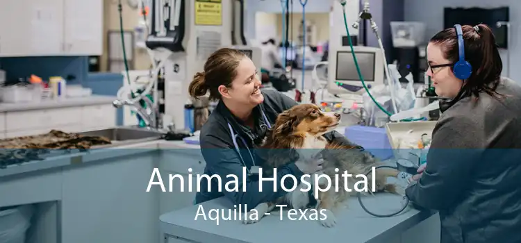 Animal Hospital Aquilla - Texas