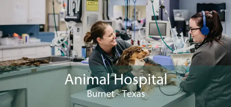 Animal Hospital Burnet - Texas
