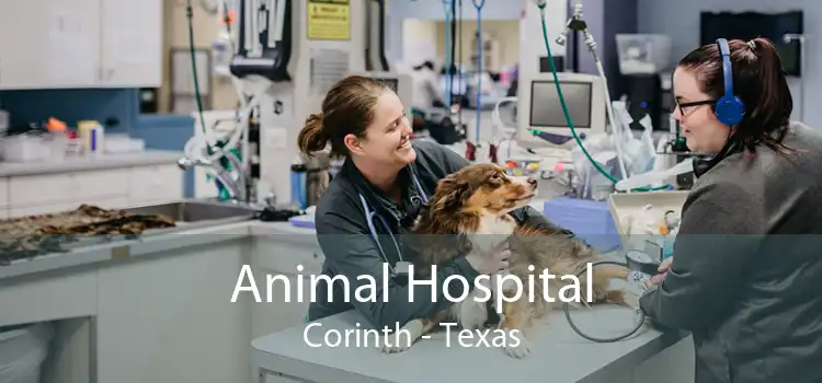 Animal Hospital Corinth - Texas