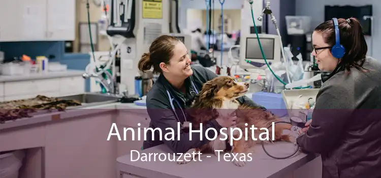 Animal Hospital Darrouzett - Texas
