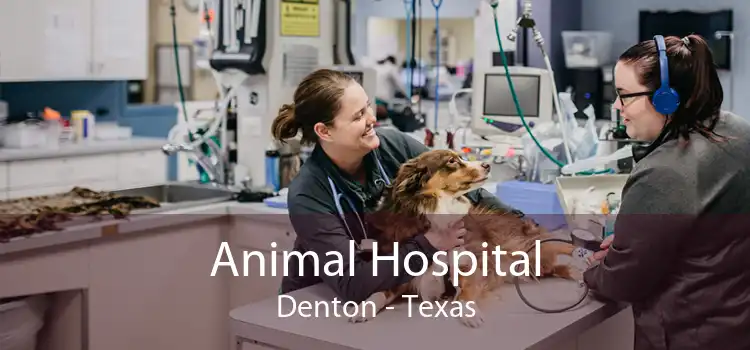 Animal Hospital Denton - Texas