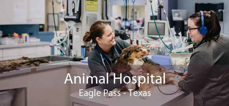 Animal Hospital Eagle Pass - Texas