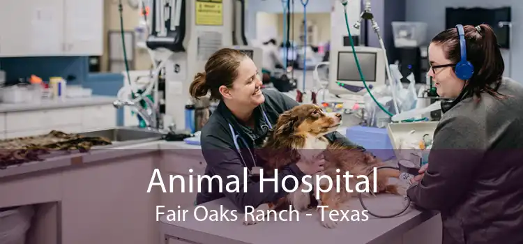 Animal Hospital Fair Oaks Ranch - Texas