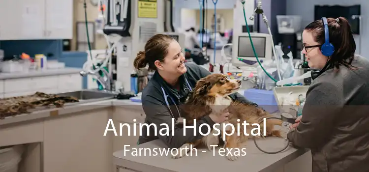 Animal Hospital Farnsworth - Texas