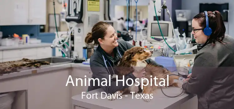 Animal Hospital Fort Davis - Texas