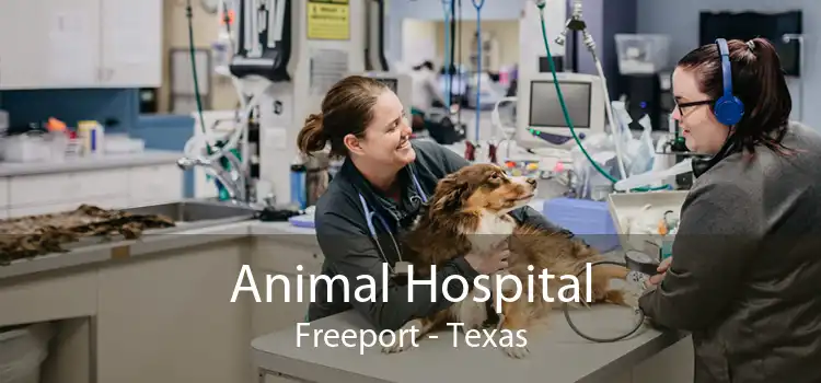Animal Hospital Freeport - Texas