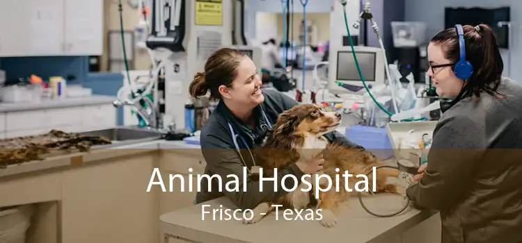 Animal Hospital Frisco - Texas