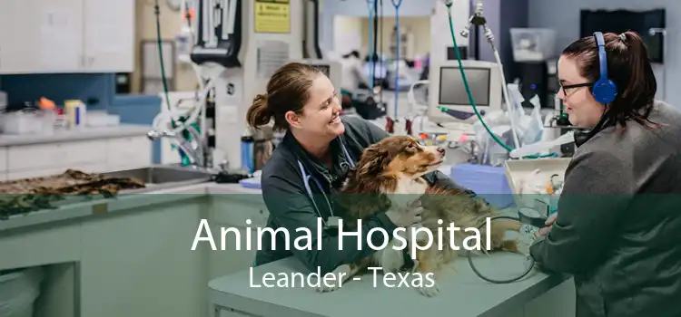 Animal Hospital Leander - Texas