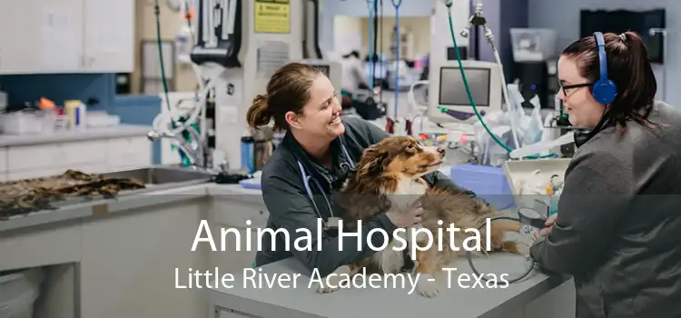 Animal Hospital Little River Academy - Texas