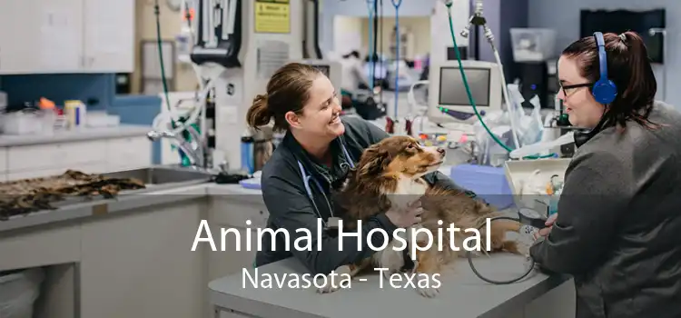 Animal Hospital Navasota - Texas