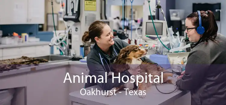 Animal Hospital Oakhurst - Texas