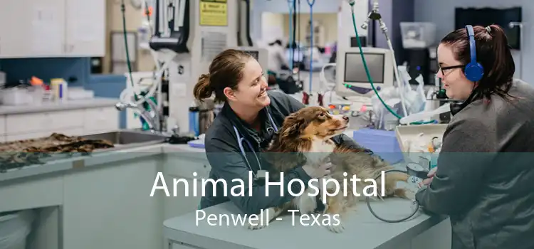Animal Hospital Penwell - Texas