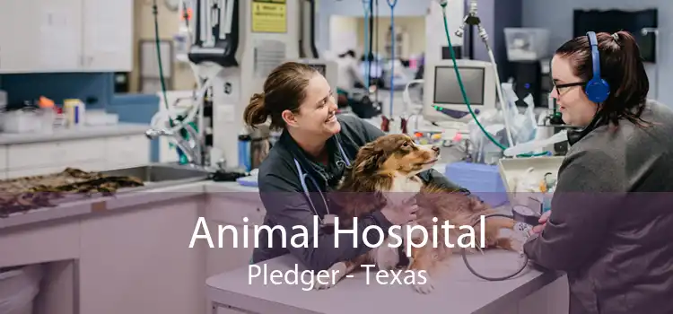Animal Hospital Pledger - Texas