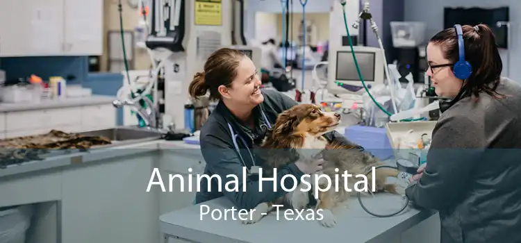 Animal Hospital Porter - Texas