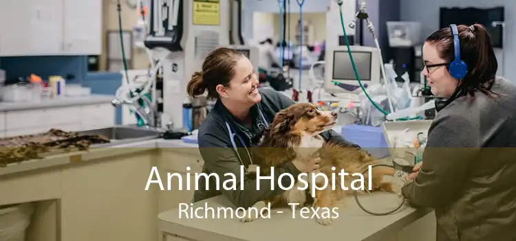 Animal Hospital Richmond - Texas