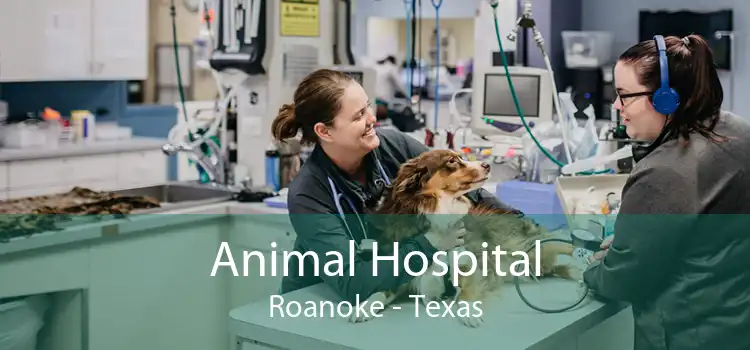 Animal Hospital Roanoke - Texas