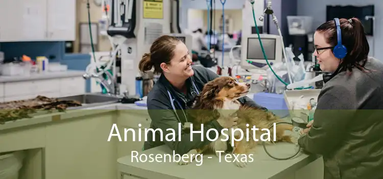 Animal Hospital Rosenberg - Texas