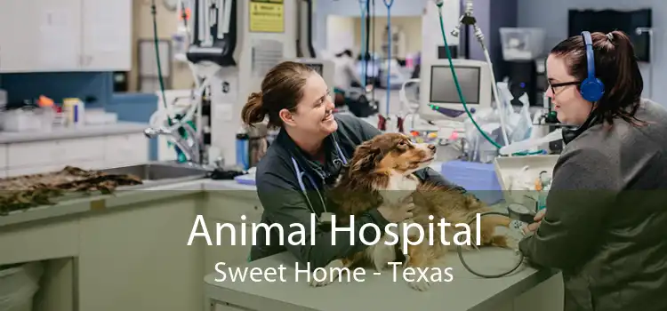 Animal Hospital Sweet Home - Texas