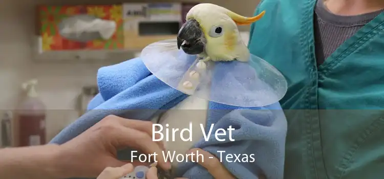 Bird Vet Fort Worth - Texas