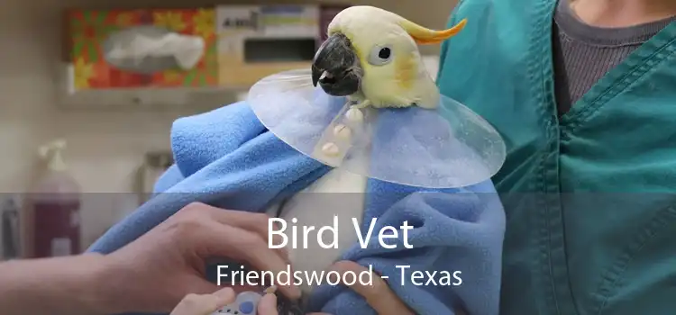 Bird Vet Friendswood - Texas