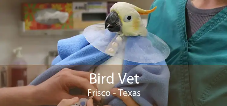 Bird Vet Frisco - Texas