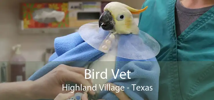 Bird Vet Highland Village - Texas