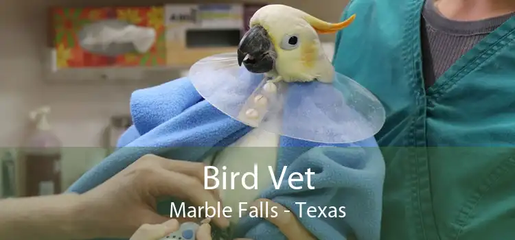 Bird Vet Marble Falls - Texas