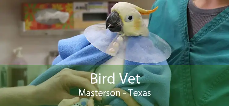 Bird Vet Masterson - Texas