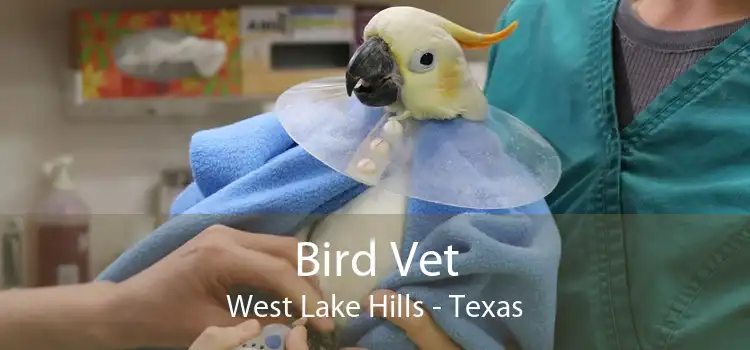 Bird Vet West Lake Hills - Texas