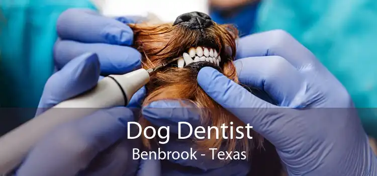 Dog Dentist Benbrook - Texas