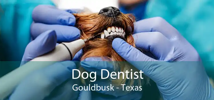 Dog Dentist Gouldbusk - Texas