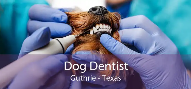 Dog Dentist Guthrie - Texas