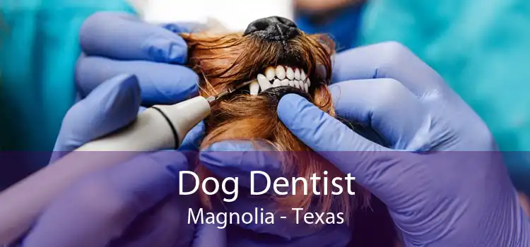 Dog Dentist Magnolia - Texas