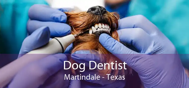 Dog Dentist Martindale - Texas
