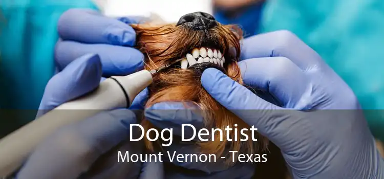 Dog Dentist Mount Vernon - Texas