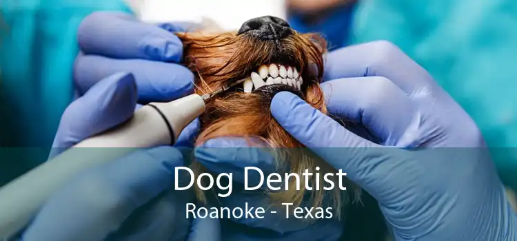 Dog Dentist Roanoke - Texas