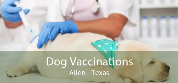 Dog Vaccinations Allen - Texas