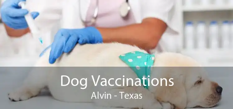 Dog Vaccinations Alvin - Texas