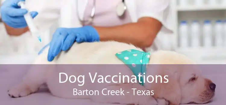 Dog Vaccinations Barton Creek - Texas