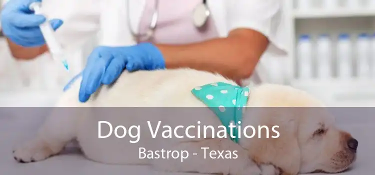 Dog Vaccinations Bastrop - Texas