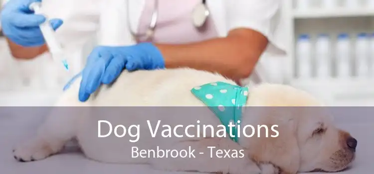 Dog Vaccinations Benbrook - Texas