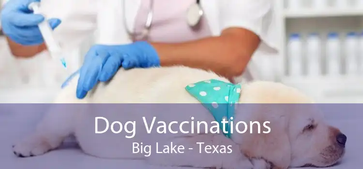 Dog Vaccinations Big Lake - Texas