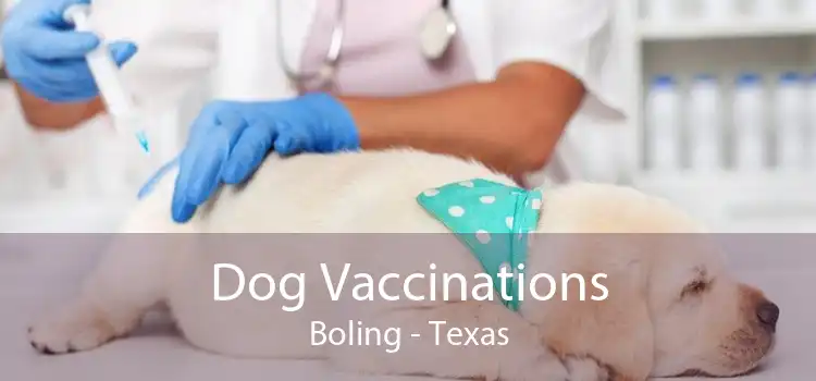 Dog Vaccinations Boling - Texas