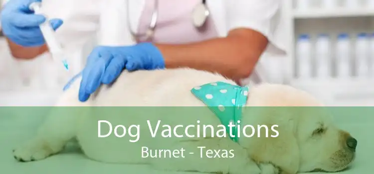 Dog Vaccinations Burnet - Texas