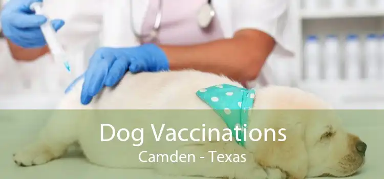 Dog Vaccinations Camden - Texas