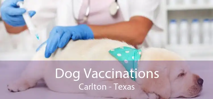 Dog Vaccinations Carlton - Texas