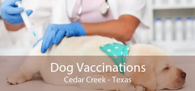 Dog Vaccinations Cedar Creek - Texas