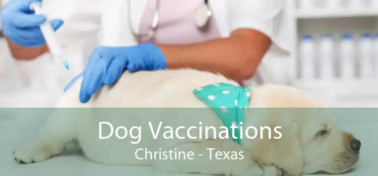 Dog Vaccinations Christine - Texas