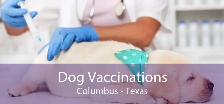 Dog Vaccinations Columbus - Texas