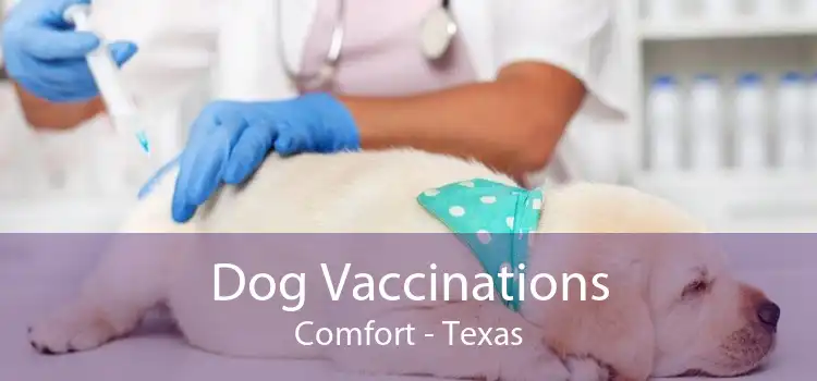 Dog Vaccinations Comfort - Texas